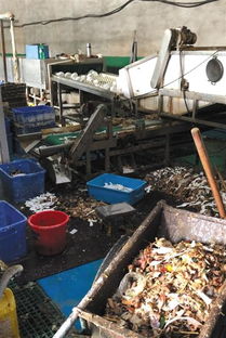 餐具消毒企業(yè)被查引關(guān)注，餐飲行業(yè)衛(wèi)生管理再敲警鐘